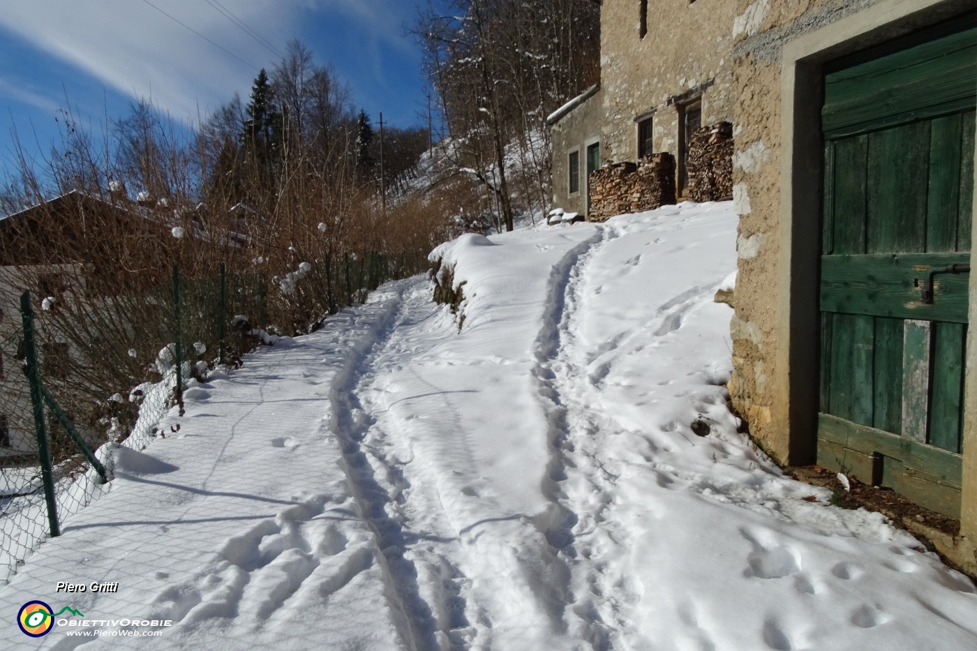 11 Pesto neve molle.JPG